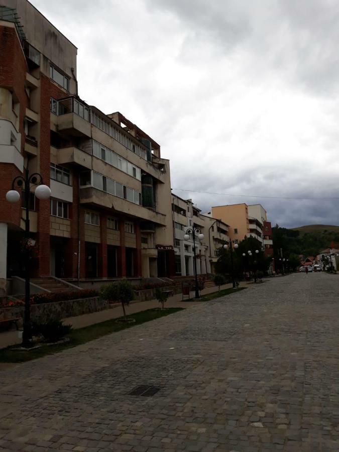 Apartament Antonia Apartment Tirgu Ocna Exterior photo
